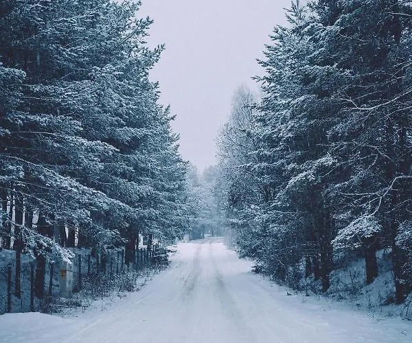 别墅 Dakota Forest Retreat 西格伏沙尔克